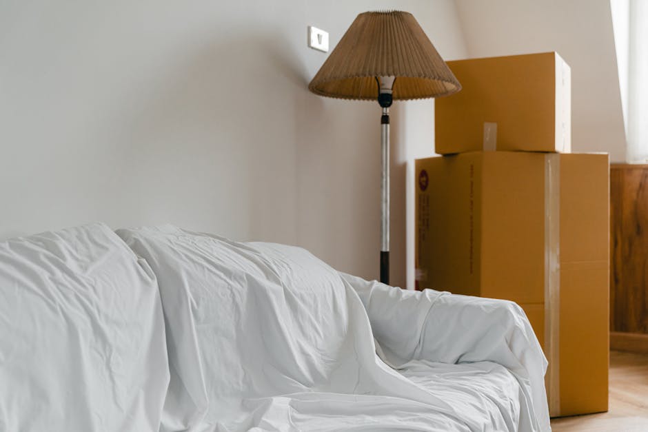 What to know about bulky item removals in Finchley flats